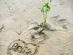 -青岛石老人海水浴场