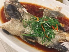 清蒸老虎斑鱼-四海之家(蛇口店)