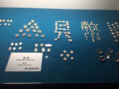 -青岛贝壳博物馆