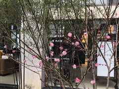 -九华山聚龙大酒店