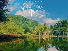 -西双版纳原始森林公园