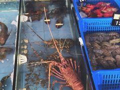 -七鲜渔港美食餐厅(巽寮湾海景店)