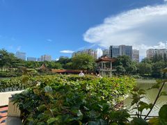 -深圳龙潭公园