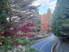 -神户市立六甲山牧场