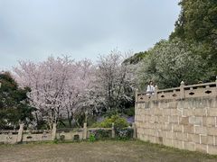 -苏州上方山国家森林公园