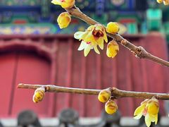 -国家植物园