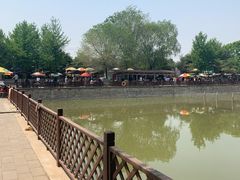 -尚庄度假村·庭台树下·户外烧烤·团建CS·轰趴营地(上庄水库店)