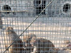 -南京金牛湖风景区