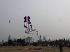 -孔子六艺文化园