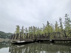 -同里国家湿地公园