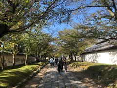 -醍醐寺