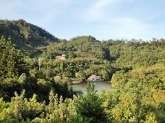 -深圳仙湖植物园