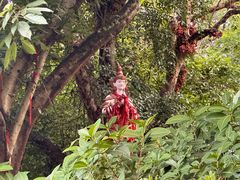 -西双版纳总佛寺