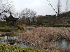 -汤山一号温泉度假区