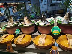 -松沪名灶·豆浆鱼头·新上海菜(飞航吾悦广场店)