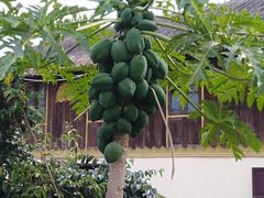-边寨喊沙