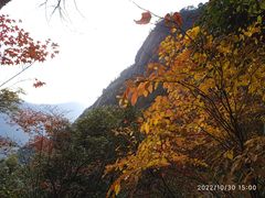 -黄山风景区