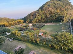 -太平山顶