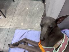 -江西老表·经典江西八大碗