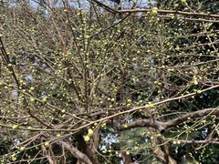 -茂南拉面馆(雨花新村店)
