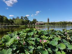 -西海子公园