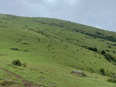 -大姆山草场