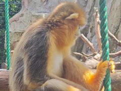 -上海动物园(地铁站)