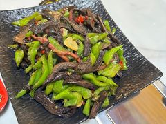 -蘑统田下·野生菌火锅