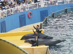 -秦皇岛乐岛海洋王国