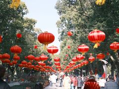 -溱湖国家湿地公园