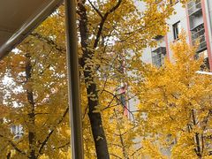 -都谷包子(天一广场店)