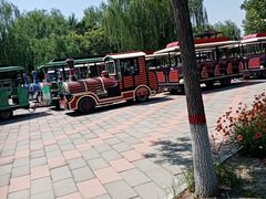 -白洋淀景区