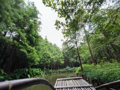 -尚湖风景区