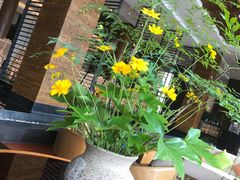 -逸廊大堂吧-下午茶·简餐-千岛湖自由洲际殿