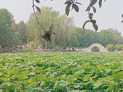 -莲池书院博物馆