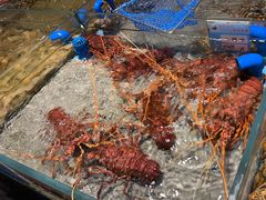 -渔傅·霞浦滩涂海鲜(建平店)