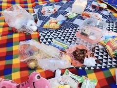 -栖露营camping·天幕烧烤·团建拓展·采摘营地