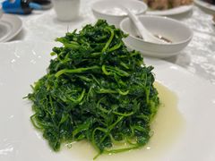 -丁老爷子苏香圆