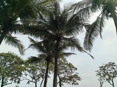 -深圳湾公园(南山区)