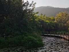 -西昌邛海湿地