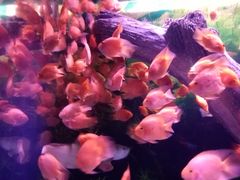 -常州海昌海洋探索馆