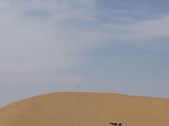 -达拉特旗响沙湾旅游区