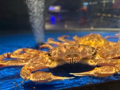 -上和臻品中国菜(花园街店)