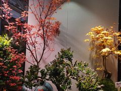 -朝来春花卉市场