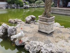 -祝家花園(伯渎港店)