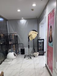 -镁连社·美联社