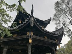 -金鸡山公园
