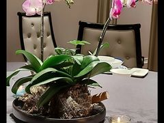 -狮王府淮扬菜(夫子庙老门东店)