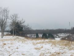 -秦始皇帝陵博物院-丽山园