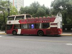 -BUS TOUR观光巴士